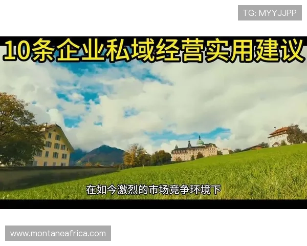 提升ag手机版全站登录安全等级的实用建议确保账号信息不被泄露