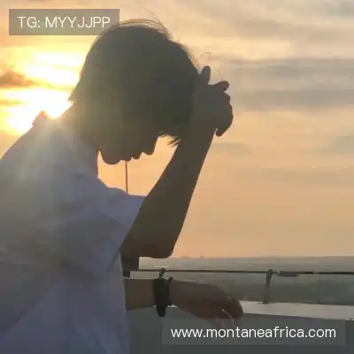 顾益葵